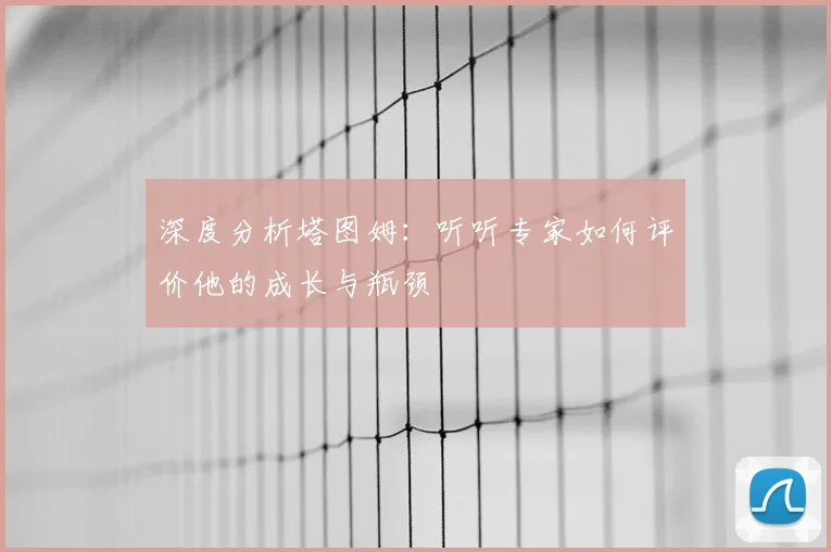 深度分析塔图姆：听听专家如何评价他的成长与瓶颈